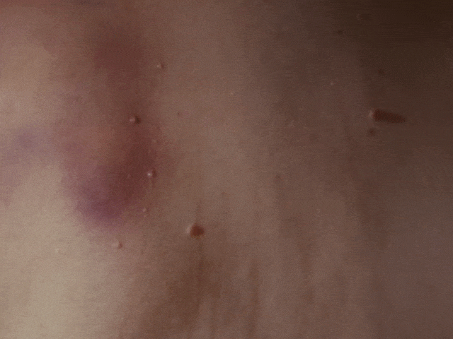 Jake Kolton is a filmmaker living and working in nyc.